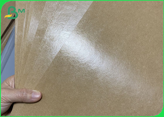 275gsm/300gsm impermeables a la grasa PE cubrió el rollo de papel marrón de Kraft para el cuenco para llevar
