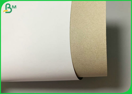 Tablero a dos caras cubierto blanco de Grey Back 300g 350g para la caja 700 x 1000m m