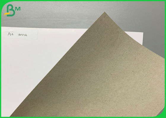 Tablero a dos caras cubierto blanco de Grey Back 300g 350g para la caja 700 x 1000m m