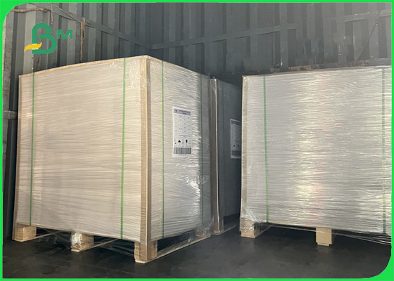 muestra blanca lateral 1220 x 2100m m de 800gsm uno Clay Coated Board For Advertisement