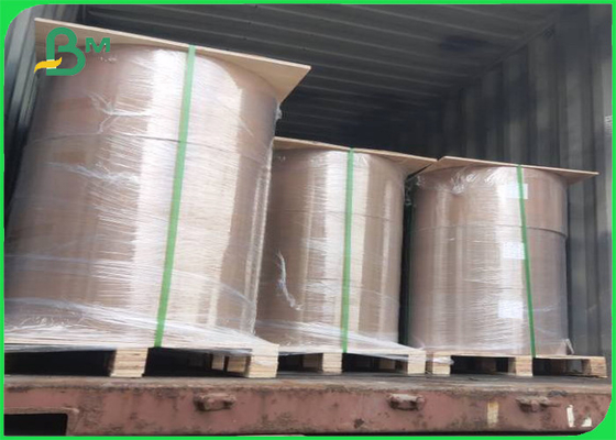 El solo lado PE cubrió el papel de la fiambrera el color blanco de 180gr + de 15g PE