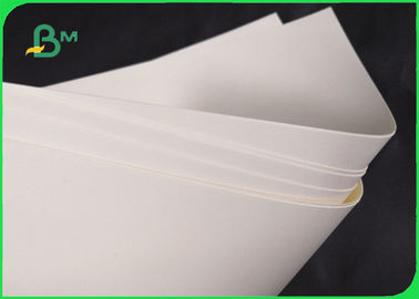 Papel bajo biodegradable de 190gsm 210gsm Cupstock para el cuenco los 720MM de la comida 860M M