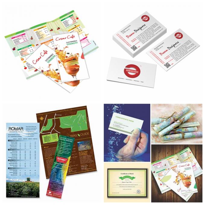 Matte Non - el sintético desgarrable del polipropileno documento los 30m por el rollo