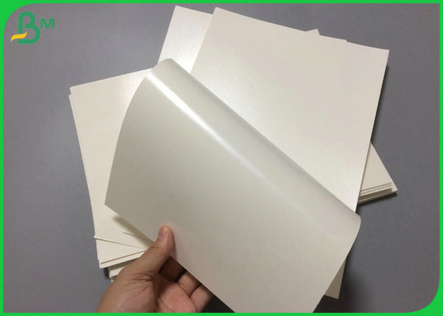 1 prenda impermeable lateral la alta blancura PE de 240gsm + de 15gr PE cubrió el papel para el cuenco de papel