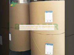 Papel blanco de la Biblia de la naturaleza biodegradable y respetuoso con el medio ambiente