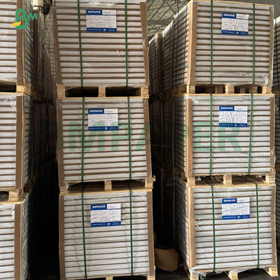 Papel de muffin para hornear