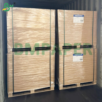 Microondas - Papel seguro para alimentos para platos de papel, vasos resistentes al corte