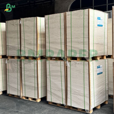 Papel laminado PE de la alta tiesura para el cuenco caliente disponible de los tallarines de la sopa imprimible