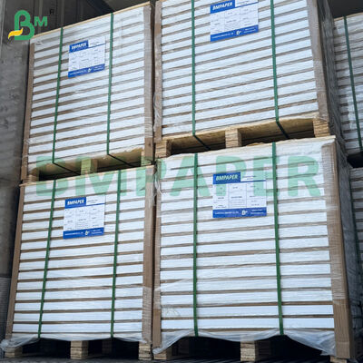 250 gm Hojas de papel de arte brillante recubiertas de dos lados 787mm*1092mm