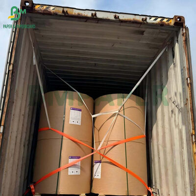 Foodgrade 230gsm + 1 PE Coated Cupstock Paper For Coffee Cup 66 x 96cm
