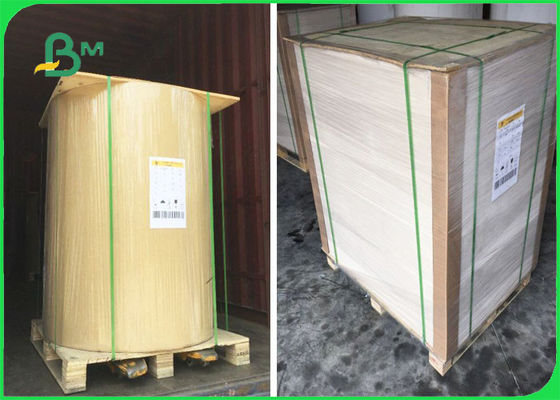 El FSC certificó el papel de Kraft de la parte negativa en hojas un × lateral 40" del blanco 32