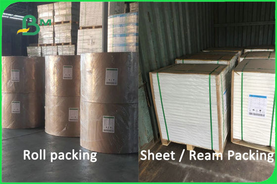 Material sin recubrimiento biodegradable 100% de la taza de papel de la pulpa de la Virgen 170 - 300gsm FDA FSC