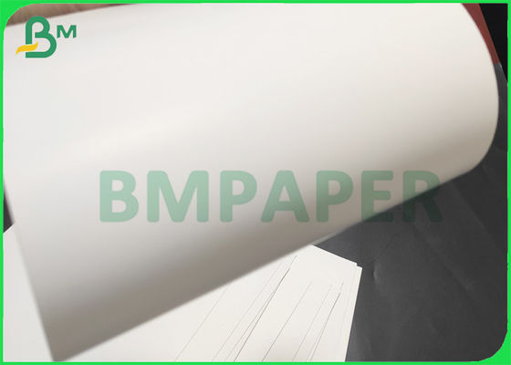 Alto tablero plegable trasero blanco a granel GC1 295gsm para el acondicionamiento de los alimentos