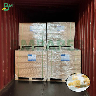 Papel blanco para la cría de pollitos, papel para pollos para la avicultura, 66cm x 100cm