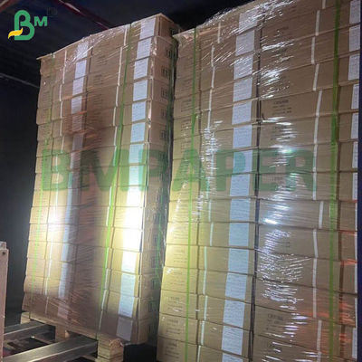 Papel blanco para la cría de pollitos, papel para pollos para la avicultura, 66cm x 100cm