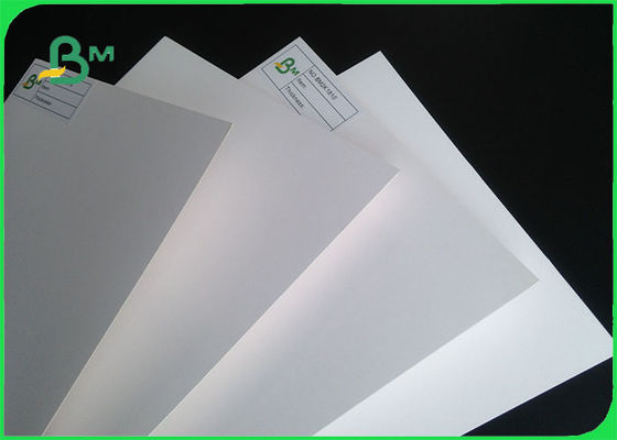 230gsm - papel de tablero de marfil del papel revestido de la certificación C1S de 400gsm FSC en rollo enorme