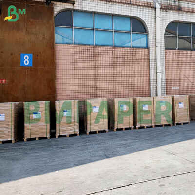 Papel para muffins colorido a prueba de grasa para hornear