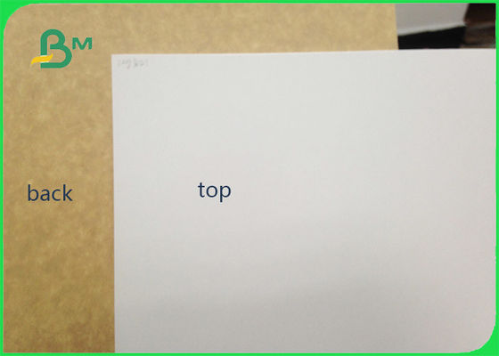 450gsm FSC certificó el rollo cubierto arcilla del papel de categoría alimenticia de la parte posterior de Kraft/el papel blanco del trazador de líneas para embalar