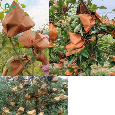 Papel de embalaje de frutas rojo para envolver manzanas, papel de embalaje de manzanas sin cera de 56 gm