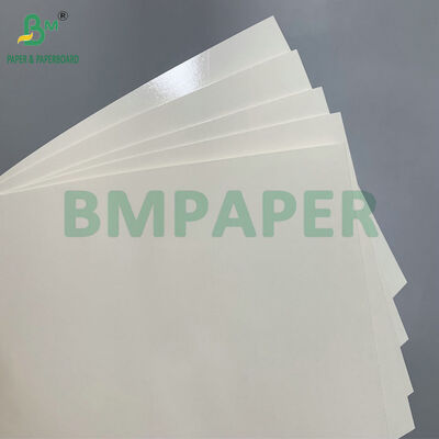 250 g 280 g de papel de calidad alimentaria PET recubierto de aceite para hacer una caja de almuerzo