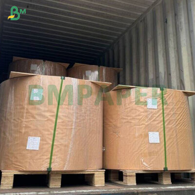 Rollo de papel para hornear magdalenas de 40 g/m² colorido y apto para alimentos