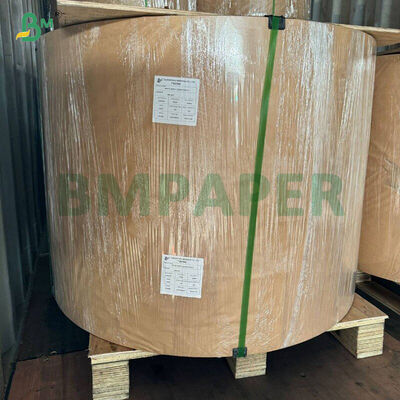 Papel de muffin para hornear