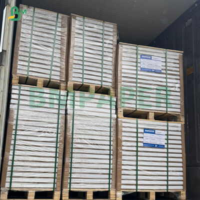 Papel de hornear para bolos de 40 gramos de alta resistencia a la temperatura