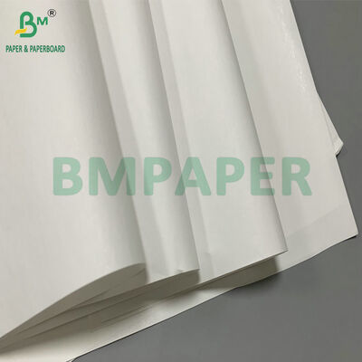 Papel térmico en rollo jumbo de 48 g/m² y 640 mm para etiquetas adhesivas de cartón