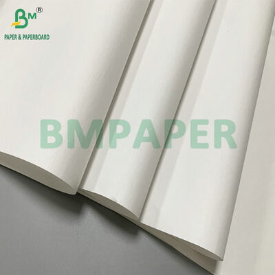 Papel térmico en rollo jumbo de 48 g/m² y 640 mm para etiquetas adhesivas de cartón
