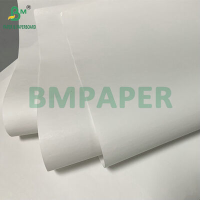 Papel térmico en rollo jumbo de 48 g/m² y 640 mm para etiquetas adhesivas de cartón
