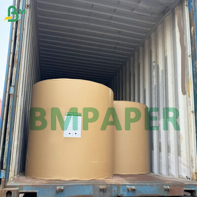 Papel para doilies de alta absorción de aceite, materia prima, papel de 50 g/m² color blanco