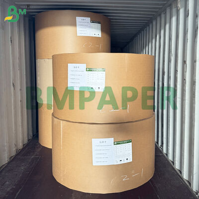 Papel para platos de comedor de revestimiento PET, material de papel para bandejas de alimentos de color blanco