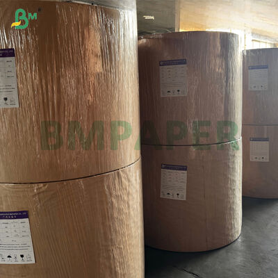 40 g Kit7 Papel de embalaje a prueba de grasa de grado alimenticio para envases de alimentos fritos