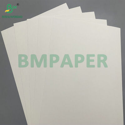 Papel Kraft Natural Recubierto de PE Biodegradable de 210 GSM para Vasos Fríos - Compostable