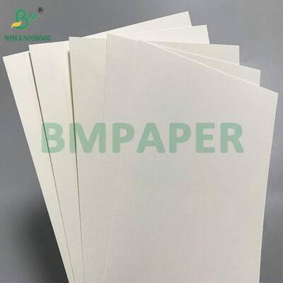 Papel Kraft Natural Recubierto de PE Biodegradable de 210 GSM para Vasos Fríos - Compostable