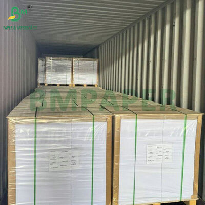 Kit 5 Rollos de Papel Antigrasa Grado Alimenticio 40gsm 840mm para Envolver Comida Rápida