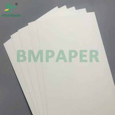 Papel biodegradable y seguro para microondas para hacer cuencos desechables para ensalada