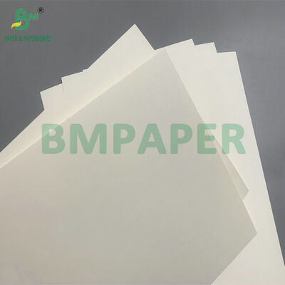 Papel biodegradable y seguro para microondas para hacer cuencos desechables para ensalada