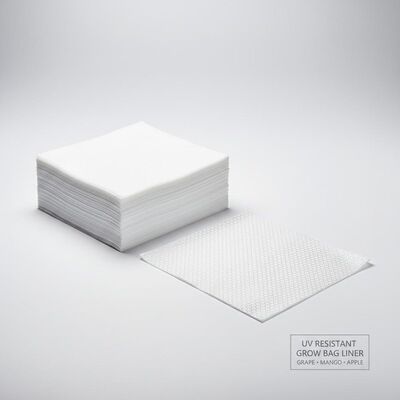 Papel de embalaje de uva resistente a los rayos UV, mango y manzana, revestimiento de la capa interna