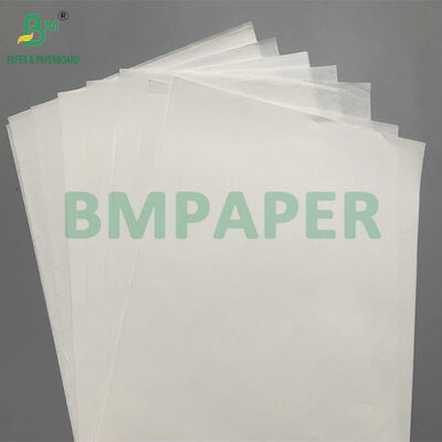 Papel Térmico Permanente para Frío 55 g/m² 65 g/m² para Carne, Mariscos, Códigos de Barras, Etiquetas
