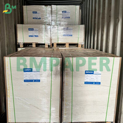 Microondas - Papel seguro para alimentos para platos de papel, vasos resistentes al corte