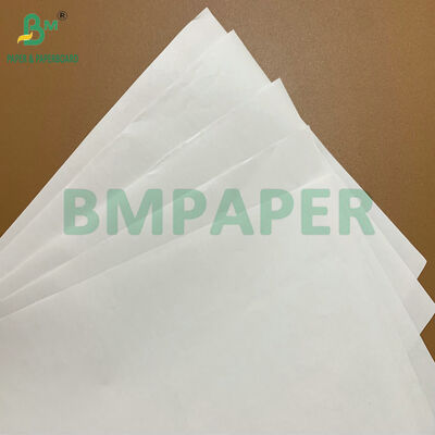 Rollos de Papel Térmico Premium de Alta Durabilidad, Libres de BPA, 48 gsm, 55 gsm