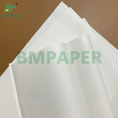 Rollos de Papel Térmico Premium de Alta Durabilidad, Libres de BPA, 48 gsm, 55 gsm