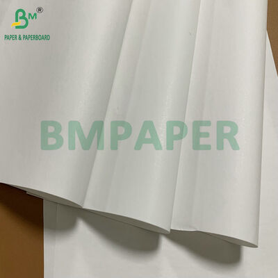 Rollos de Papel Térmico Premium de Alta Durabilidad, Libres de BPA, 48 gsm, 55 gsm