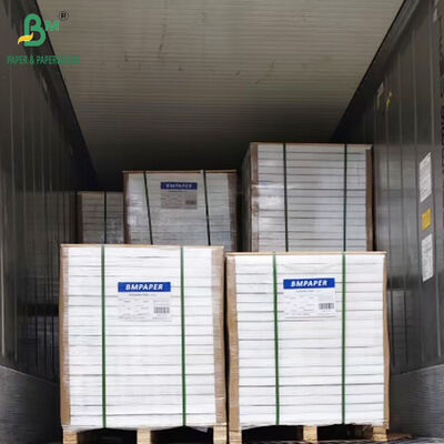 Imagen en negro de 650 mm x 920 mm