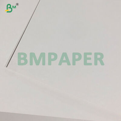Cartón para blíster de 400 g/m² blanco recubierto por una cara para embalaje 635 x 940 mm