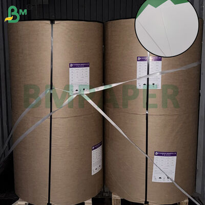 Cartulina de seguridad alimentaria de 250g para la fabricación de todas las cajas de conservación de alimentos