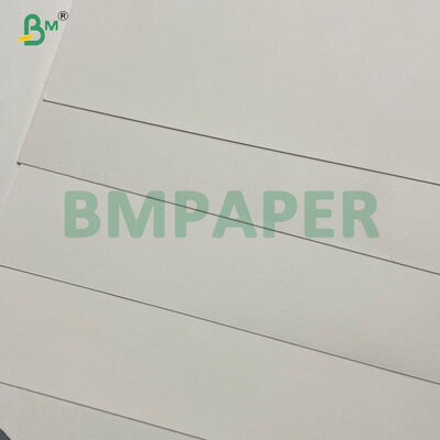 Papel laminado PE de la alta tiesura para el cuenco caliente disponible de los tallarines de la sopa imprimible