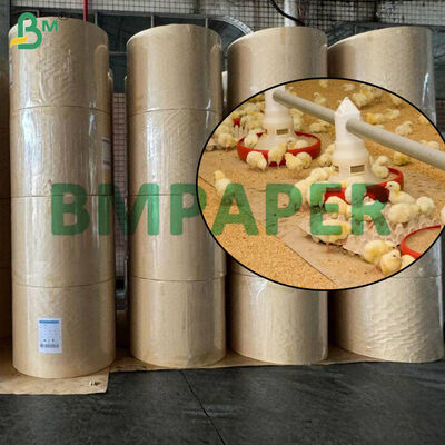 Papel de pollo marrón de 70 gm 80 gm para granjas avícolas, rollos de papel impermeables