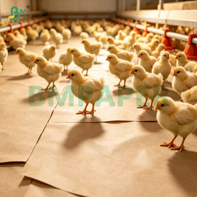 75 g de papel antiderrapante de ropa de cama para incubadoras de aves acuáticas de pollo
